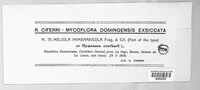 Meliola hymenaeicola image